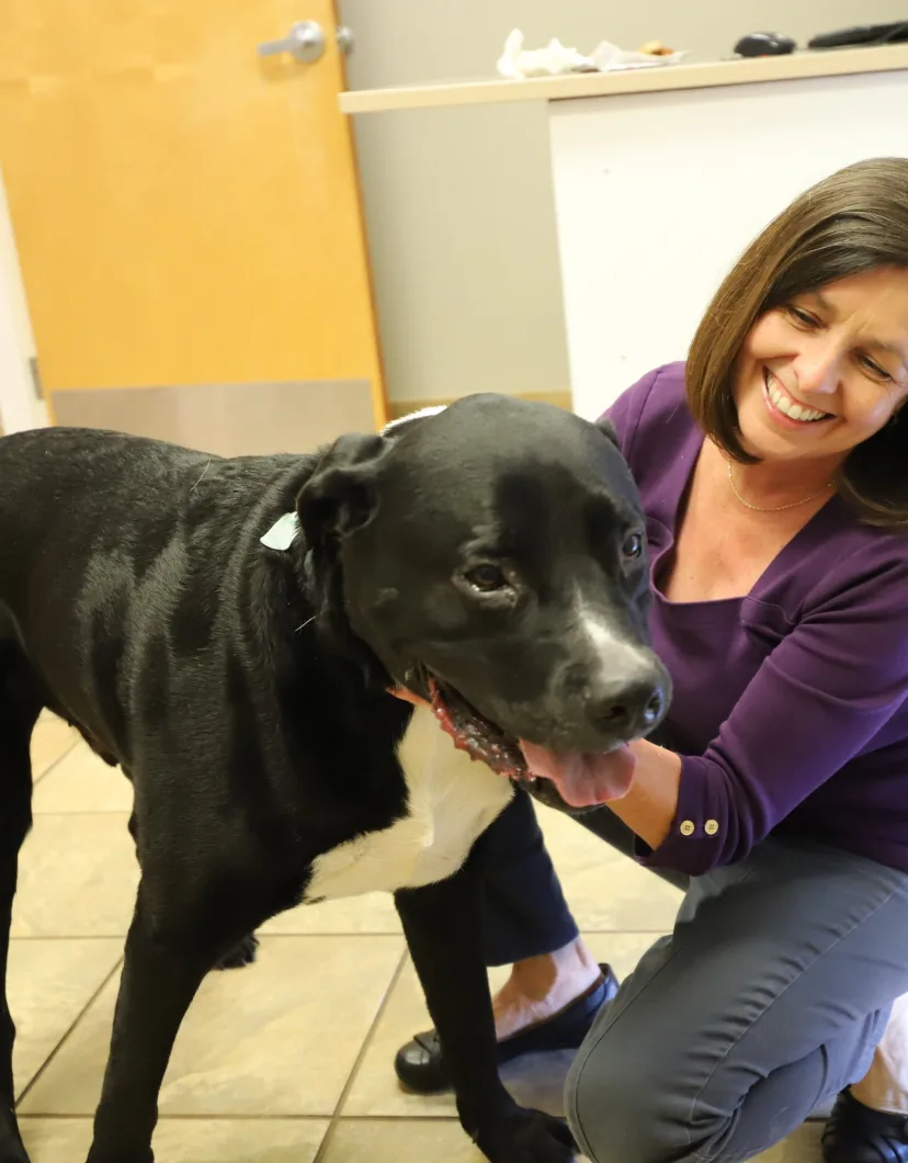 Dr. Julie McBride with a Black Dog